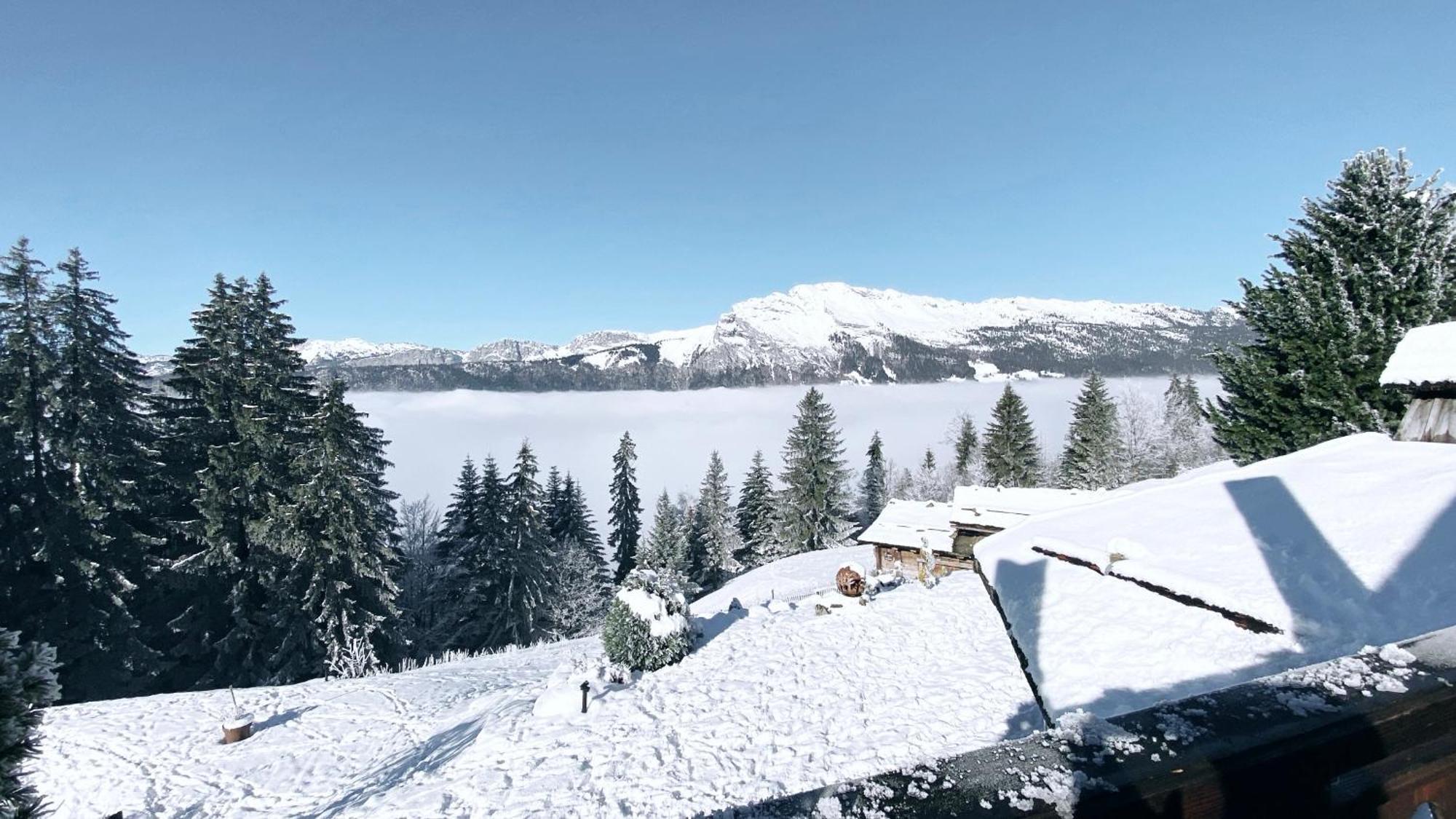 ホテル La Ferme Des Vonezins Thônes エクステリア 写真